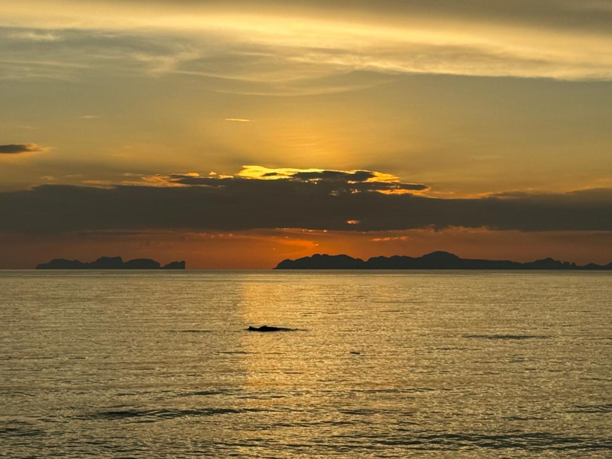 Coco Canopy Boutique Resort Koh Jum Buitenkant foto